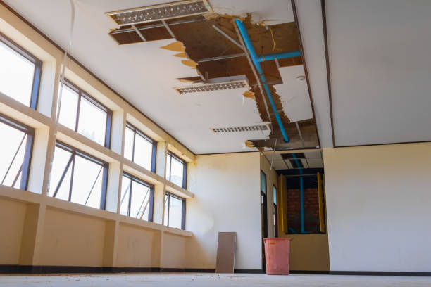 Best Flood restoration services  in Lake Park, FL