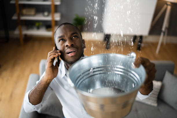 Best Sewage cleanup and water damage restoration  in Lake Park, FL