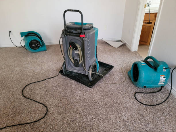 Best 24-hour water damage restoration  in Lake Park, FL