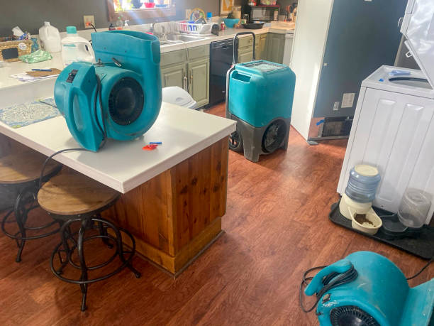 Best Flood damage cleanup  in Lake Park, FL