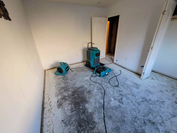 Best Mold removal after water damage  in Lake Park, FL