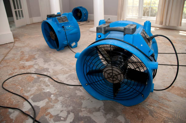 Best Water damage restoration near me  in Lake Park, FL