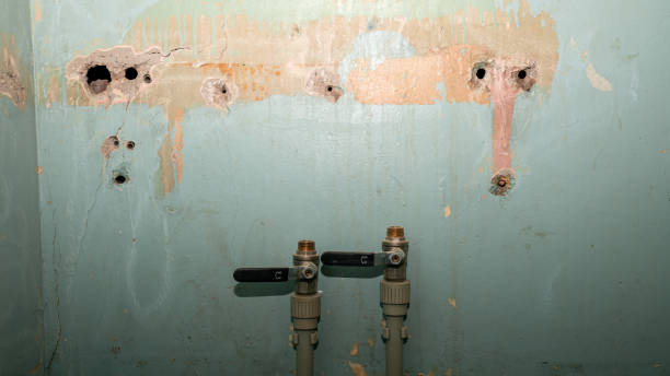 Best Emergency water damage restoration  in Lake Park, FL