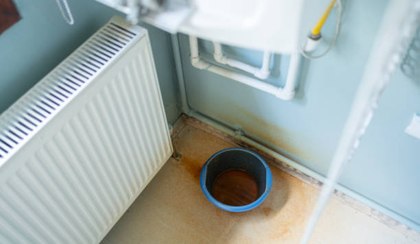Best Professional water damage repair  in Lake Park, FL