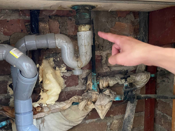 Best Fire Damage Restoration  in Lake Park, FL