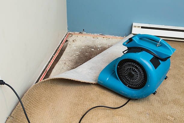 Best Local water damage restoration  in Lake Park, FL