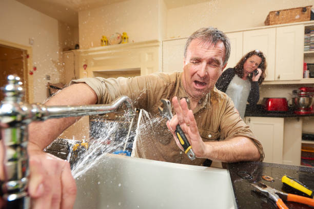 Best Flooded house restoration  in Lake Park, FL
